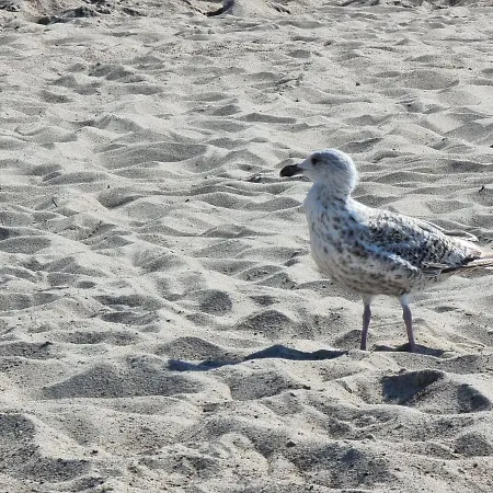 Zachod Slonca W Ustroniu Morskim *