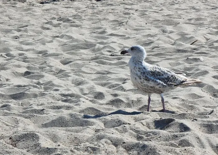 Zachod Slonca W Ustroniu Morskim *