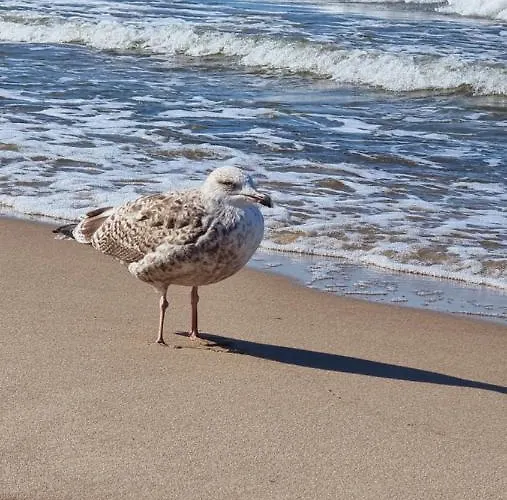 Zachod Slonca W Ustroniu Morskim Casa vacanze
